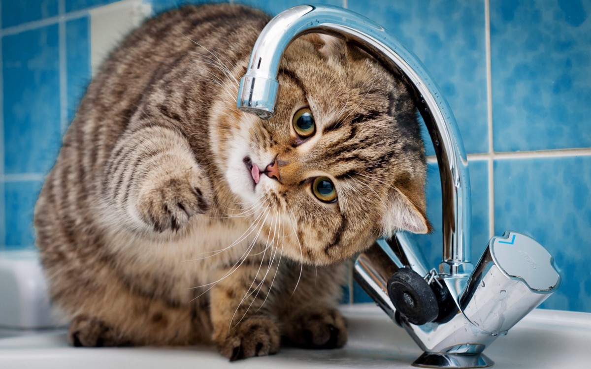 Much like the ‘original 7', recognising and understanding ‘the enemy within’ helps us avoid falling into the same old traps.